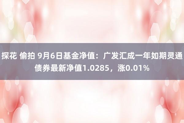 探花 偷拍 9月6日基金净值：广发汇成一年如期灵通债券最新净值1.0285，涨0.01%