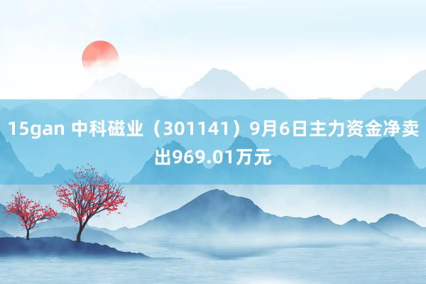 15gan 中科磁业（301141）9月6日主力资金净卖出969.01万元