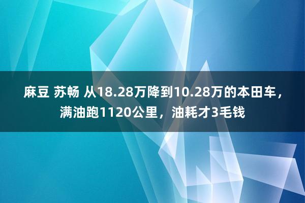 麻豆 苏畅 从18.28万降到10.28万的本田车，满油跑1120公里，油耗才3毛钱