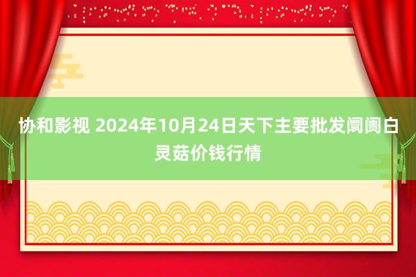 协和影视 2024年10月24日天下主要批发阛阓白灵菇价钱行情
