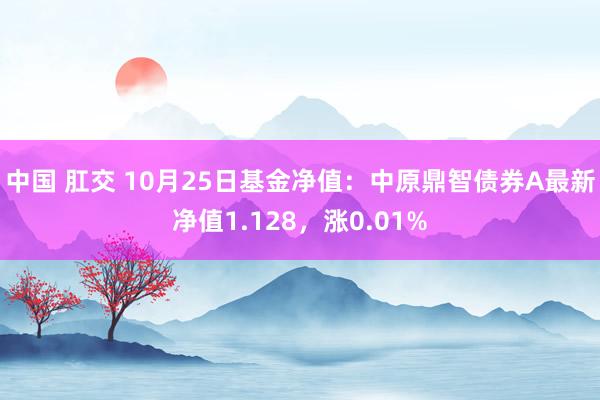 中国 肛交 10月25日基金净值：中原鼎智债券A最新净值1.128，涨0.01%