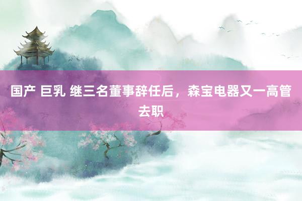国产 巨乳 继三名董事辞任后，森宝电器又一高管去职