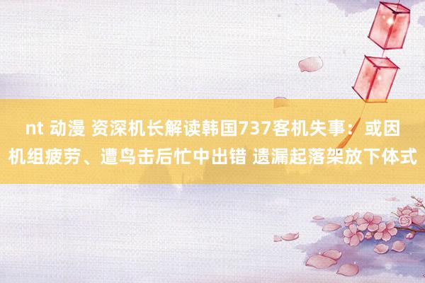 nt 动漫 资深机长解读韩国737客机失事：或因机组疲劳、遭鸟击后忙中出错 遗漏起落架放下体式