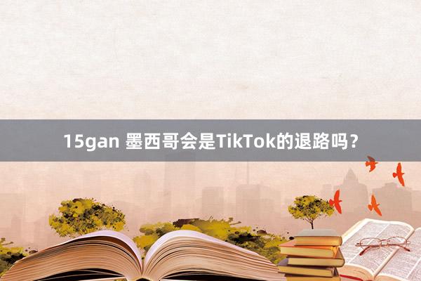 15gan 墨西哥会是TikTok的退路吗？