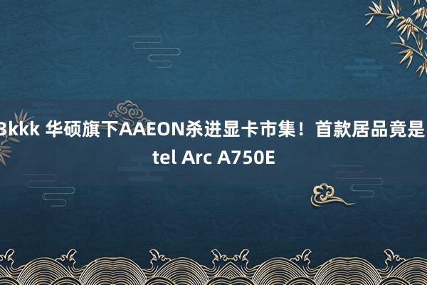 53kkk 华硕旗下AAEON杀进显卡市集！首款居品竟是Intel Arc A750E
