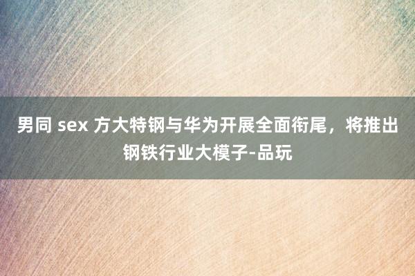 男同 sex 方大特钢与华为开展全面衔尾，将推出钢铁行业大模子-品玩
