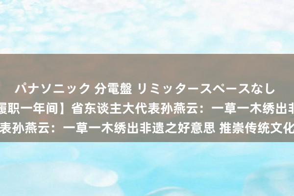 パナソニック 分電盤 リミッタースペースなし 露出・半埋込両用形 【履职一年间】省东谈主大代表孙燕云：一草一木绣出非遗之好意思 推崇传统文化