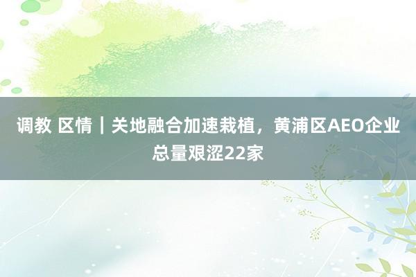 调教 区情｜关地融合加速栽植，黄浦区AEO企业总量艰涩22家