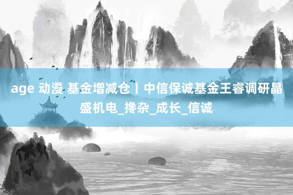 age 动漫 基金增减仓丨中信保诚基金王睿调研晶盛机电_搀杂_成长_信诚