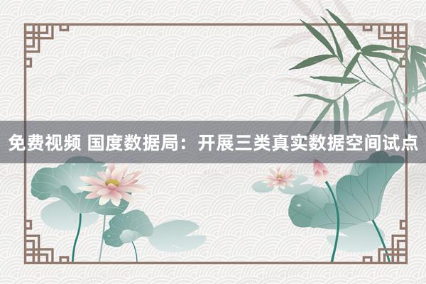 免费视频 国度数据局：开展三类真实数据空间试点