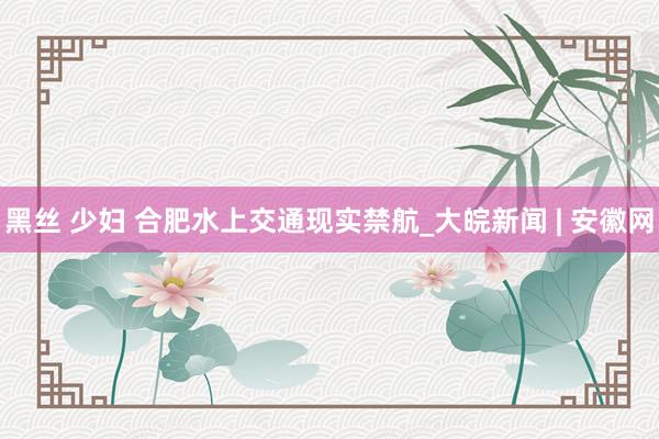 黑丝 少妇 合肥水上交通现实禁航_大皖新闻 | 安徽网