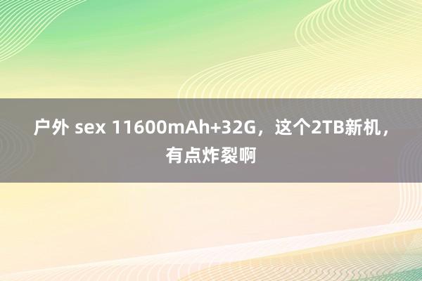 户外 sex 11600mAh+32G，这个2TB新机，有点炸裂啊