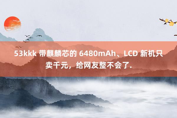 53kkk 带麒麟芯的 6480mAh、LCD 新机只卖千元，给网友整不会了.