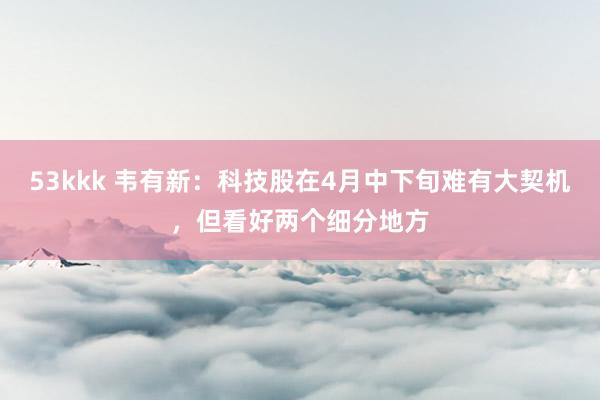 53kkk 韦有新：科技股在4月中下旬难有大契机，但看好两个细分地方